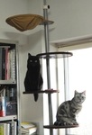 2014_1101AD.JPG