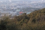 2017_0404AN.JPG