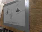 2017_0406AB.JPG