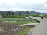2017_0409AA.JPG