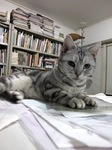 2017_0421AI.JPG