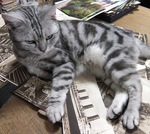 2017_0422AD.JPG