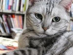 2017_0429AC.JPG