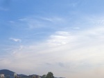 IMGP0981.jpg